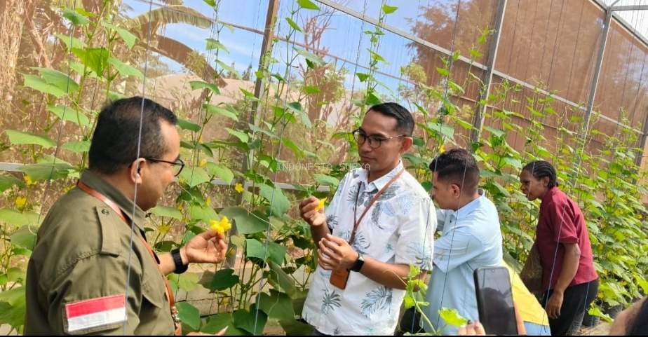 Staf Bank NTT Kantor Cabang Labuan Bajo Belajar Budidaya Melon di TEFA Green House Politani Kupang